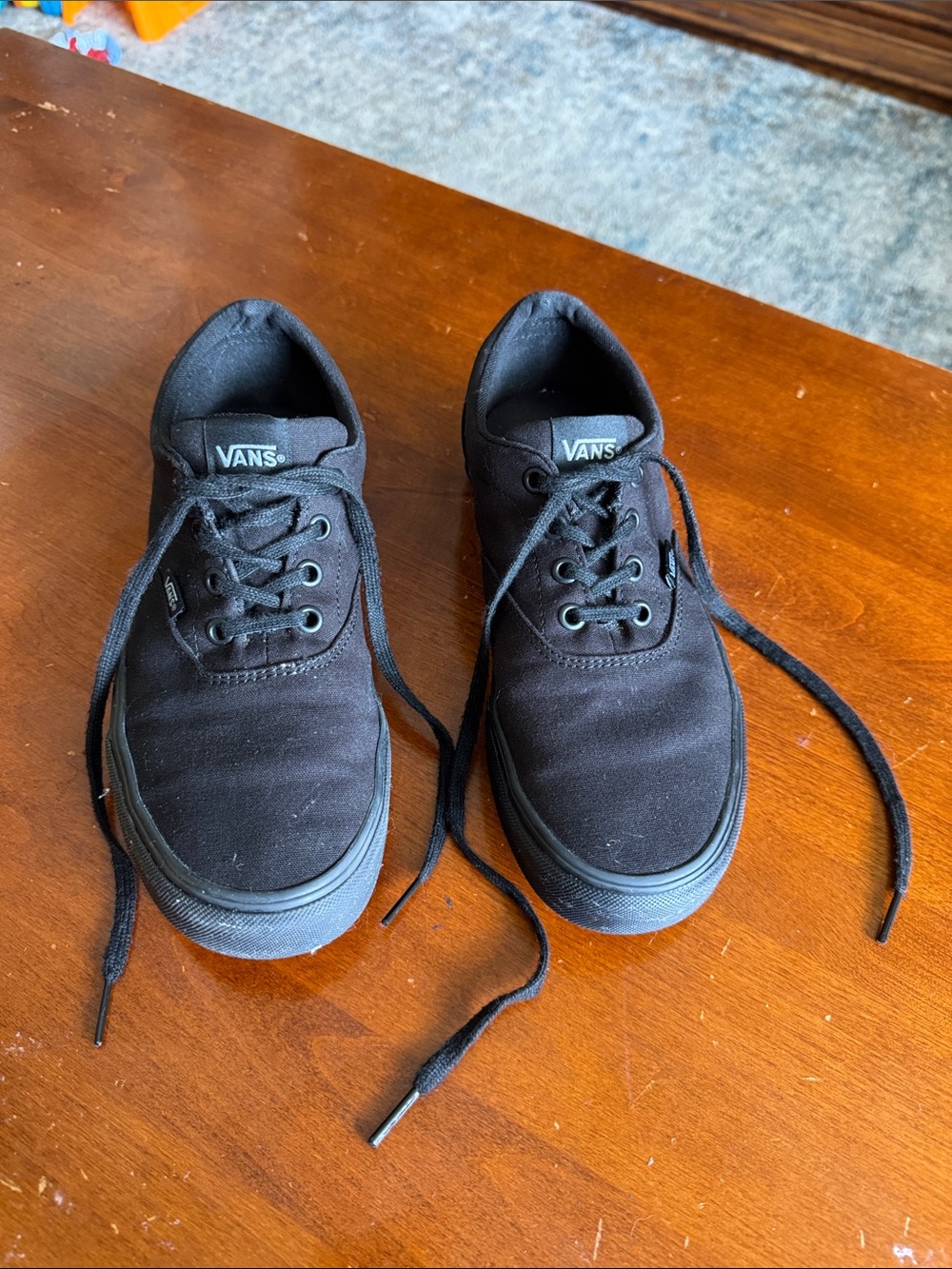 Vans All-Black Low-Top Canvas Sneakers